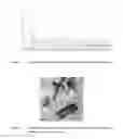 Fig. 02 - Metal phosphate containing manganese and method for its production