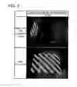 Fig. 10 - Film and light-emitting device