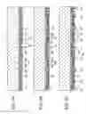 Fig. 09 - SEMICONDUCTOR LIGHT EMITTING DEVICE AND MANUFACTURING METHOD OF THE SAME