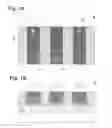 Fig. 02 - SCALABLE INTEGRATED MIM CAPACITOR USING GATE METAL