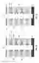 Fig. 06 - Three-dimensional charge trapping NAND cell with discrete charge trapping film