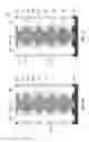 Fig. 09 - Three-dimensional charge trapping NAND cell with discrete charge trapping film