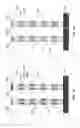 Fig. 16 - Three-dimensional charge trapping NAND cell with discrete charge trapping film