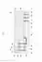 Fig. 02 - Electronic device