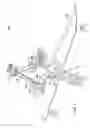 Fig. 03 - Self-centering sealant applicator