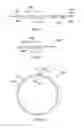 Fig. 43 - Sealing device and sealing structure
