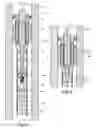 Fig. 02 - CONSTANT VELOCITY DEVICE FOR DOWNHOLE POWER GENERATION