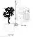 Fig. 07 - Connector for multiple potted plants
