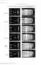 Fig. 06 - Piezoelectric device