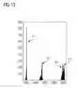 Fig. 08 - Method and apparatus for recognizing a manipulation on an electrical line