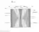 Fig. 16 - MAGNETORESISTIVE EFFECT OSCILLATOR
