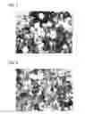 Fig. 05 - Semiconductor ceramic composition, method for producing the same, and PTC element