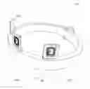Fig. 01 - System for Holding Multiple RFIDs in a Wearable Device