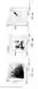 Fig. 28 - Biometric authentication