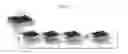 Fig. 08 - Magnetic sheet, method for manufacturing magnetic sheet and antenna comprising the magnetic sheet