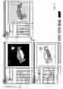 Fig. 12 - INTERACTIVE BLACK AND WHITE IMAGE EDITING