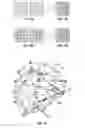 Fig. 12 - SPATIO-TEMPORAL VECTOR SCREENING FOR COLOR DISPLAY DEVICES