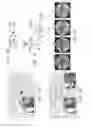 Fig. 06 - Display image formation device and display image formation method