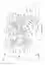 Fig. 17 - Methods and apparatus for capturing images using optical chains and/or for using captured images