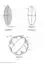Fig. 24 - Zoom related methods and apparatus