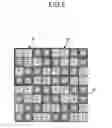 Fig. 06 - Color imaging element and imaging device
