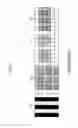 Fig. 28 - Color imaging element and imaging device