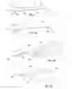 Fig. 02 - Eyeglass frame with decorative piece