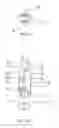 Fig. 07 - Reflector lamp