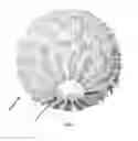 Fig. 07 - Method for folding flat, non-rigid materials to create rigid, three-dimensional structures
