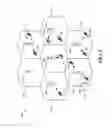 Fig. 03 - Full duplex communication in the presence of mixed full and half duplex users