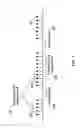 Fig. 02 - Almost blank subframe configuration in wireless networks