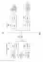 Fig. 02 - REDUCING LATENCY DURING REDIRECTION