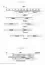 Fig. 08 - Device and method for transmitting random access preamble