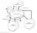 Fig. 01 - Utilizing multiple mesh network gateways in a shared access network