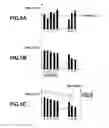 Fig. 06 - Image processing apparatus, image processing method, and program