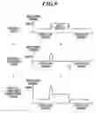 Fig. 09 - Medical image processing apparatus and computer-readable storage medium