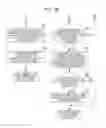 Fig. 08 - Document registration apparatus and non-transitory computer readable medium