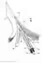 Fig. 04 - Optical fiber cable with reinforcement