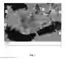 Fig. 02 - Method of making a cBN material