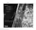 Fig. 04 - HIGH-STRENGTH AND HIGH-DUCTILITY STEEL SHEET AND METHOD OF MANUFACTURING THE SAME