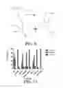 Fig. 06 - Methods for using rose bengal for detection of oxidative decomposition of contaminants