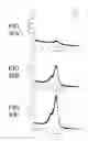 Fig. 46 - Methods for using rose bengal for detection of oxidative decomposition of contaminants