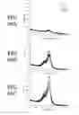 Fig. 52 - Methods for using rose bengal for detection of oxidative decomposition of contaminants