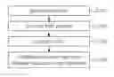 Fig. 01 - METHOD FOR INDUCING APOPTOSIS OF DISEASE CELLS AND DISEASE-CAUSING MICROORGANISMS USING PLASMA FOR BIO-MEDICAL USE