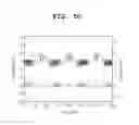 Fig. 09 - METHOD FOR INDUCING APOPTOSIS OF DISEASE CELLS AND DISEASE-CAUSING MICROORGANISMS USING PLASMA FOR BIO-MEDICAL USE