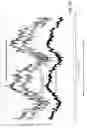 Fig. 04 - Psyllium fumigated with methyl bromide