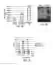 Fig. 07 - Filamentous bacteriophage as an angiogenesis modulator
