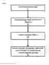 Fig. 08 - High resolution allele identification