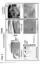 Fig. 09 - THREE-DIMENSIONAL TISSUE STRUCTURE