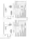 Fig. 02 - Antibodies that recognize IAPP